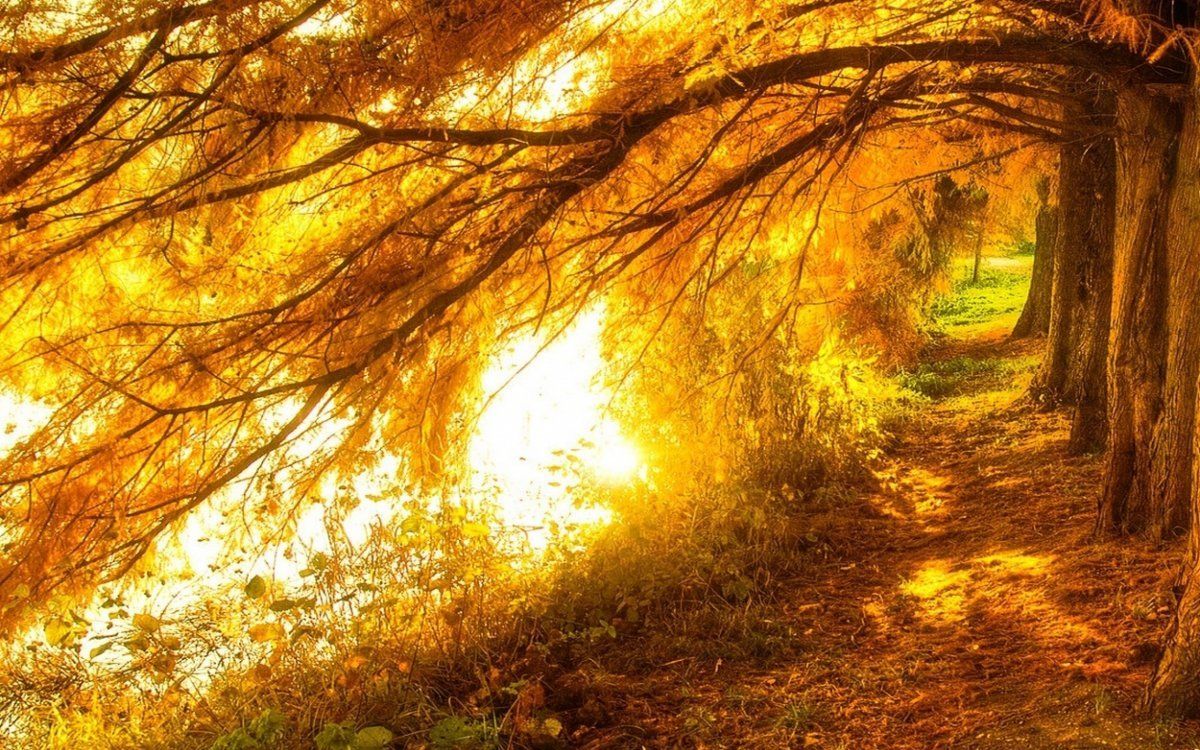 Синоптики рассказали, когда уйдут дожди и погода в Украине стабилизируется